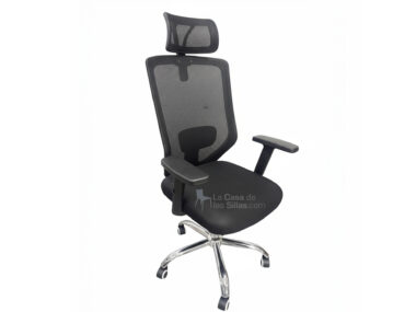 BOSTON  PRESIDENCIAL