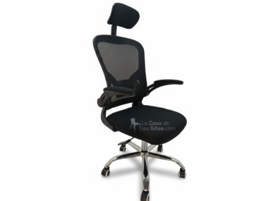 FERRARI PRESIDENCIAL