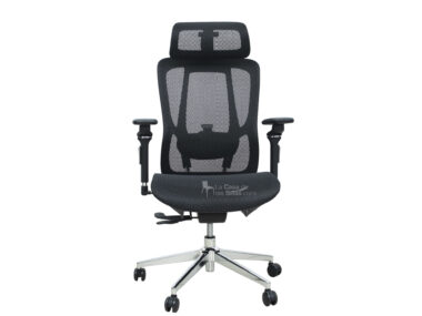 SILLA PRESIDENCIAL LEXUS